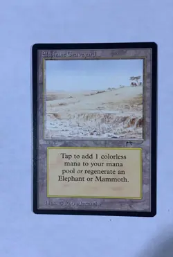 MTG Elephants Graveyard Arabian Nights English "Hot" - Image 1