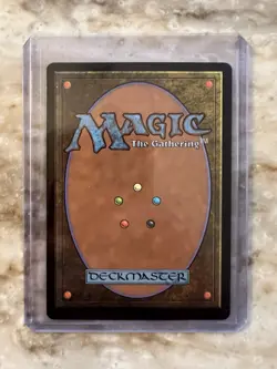 Elegant Parlor (Borderless) Murders at Karlov Manor Foil MTG NM+ - Image 2