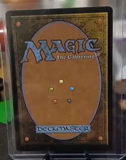 MTG Mystic Remora 0016 Regular (Borderless) Avatar - Image 2