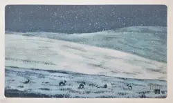 Tundra Playmat MTG Play Mat SIGNED by Jesper Myrfors OFFICIAL Magic Dual Lands - Image 1