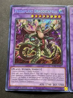 Albion The Sanctifire Dragon + Mudragon Of The Swamp + Dragostapelia | YuGiOh! - Image 3