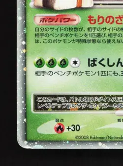 Torterra LV.X 076/DP-P HP Diamond & Pearl Promos Japanese Pokemon Card TCG - Image 2