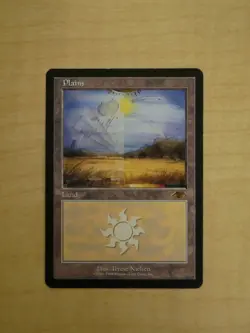 Magic the Gathering: Plains - Guru Land Promo (VG+) - Image 1