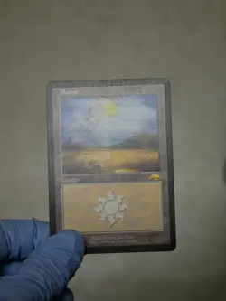 Magic the Gathering: Plains - Guru Land Promo (VG+) - Image 4