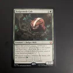 Badgermole Cub Avatar: The Last Airbender Reg - Image 1