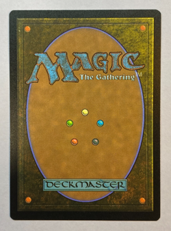 MTG - Razorkin Needlehead - NM - Duskmourn: House of Horror - Image 2