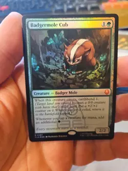 MTG - Avatar: The Last Airbender - Badgermole Cub - NM - Foil - Image 1