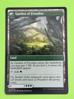 MTG Disciple of Freyalise NM Modern Horizons 3 uncommon green - Image 2