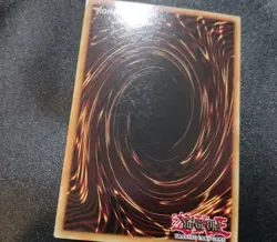 Dark Magician Girl the Dragon Knight (Purple) DLCS-EN006 Ultra Rare Card LP - Image 5