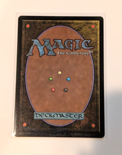 Hei Bai, Forest Guardian Extended Art #205 FOIL Mythic - MTG TLE Avatar - Image 2