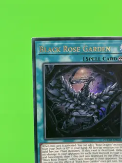 Yu-Gi-Oh Doom Of Dimensions Black Rose Garden Ultra Rare DOOD-EN055 NM!!! - Image 4