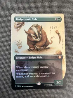 Magic the Gathering Badgermole Cub (Borderless Foil) [M 0326] NM - Image 1