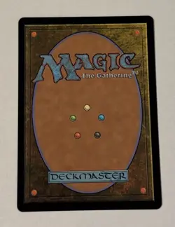 MTG Hylda Of The Icy Crown - Wilds Of Eldraine LP - Image 2