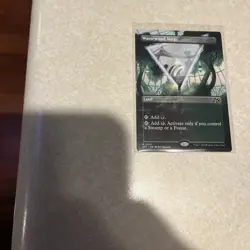 Wastewood Verge (Borderless) Aetherdrift Regular - Image 1