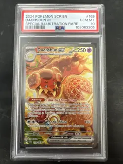 Pokemon Dachsbun EX 169/142 PSA 10 Gem Mint Stellar Crown Graded Card - Image 1