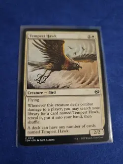 Tempest Hawk Tarkir: Dragonstorm Regular - Image 1