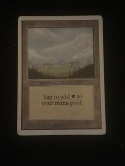 MTG Magic the Gathering Plains (B) Unlimited Edition HP - Image 1