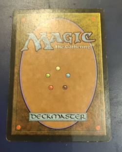 MTG Adarkar Wastes Signed Richard Garfield - Image 2