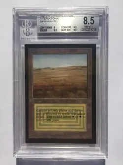 BGS 8.5 | Savannah | MtG Collectors International Ed | [8, 9.5, 9.5, 9.5] - Image 1