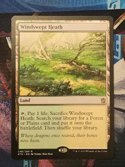 MTG Khans Of Tarkir - Windswept Heath NM Regular - Image 1
