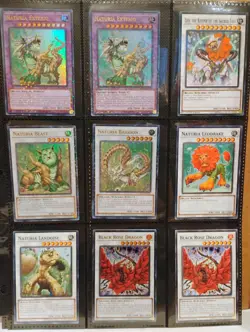Yugioh Naturia Core 66 Card Lot - Image 1