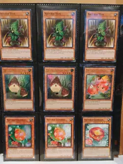 Yugioh Naturia Core 66 Card Lot - Image 4