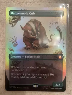 MTG, Avatar - Mythic Badgermole Cub (#0326) - Borderless - Foil - Image 1