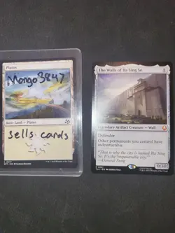 The Walls of Ba Sing Se Avatar: The Last Airbender Magic MTG NM - Image 3