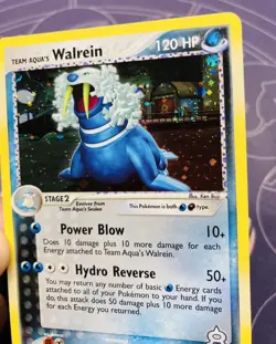 Pokemon TCG 2004 Team Aqua's Walrein Holo - Magma Vs Aqua 6/95 MINT, SWIRL! - Image 5