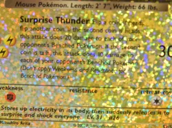 Pokemon Dark Raichu Box Topper S3/S4 Jumbo OverSize Card Reverse Holo (X72JJ) - Image 2