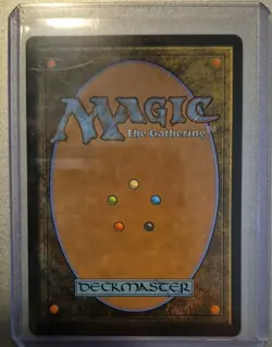 Dawn's Truce (Showcase) - Bloomburrow - Rare - NM (See pics) MTG - Image 2