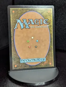 Ran and Shaw (Borderless Foil) 0325 - Avatar: The Last Airbender TLA - MTG NM/M - Image 2