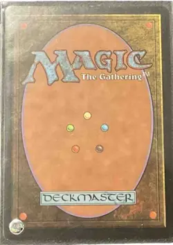 Saprazzan Cove | Mercadian Masques 1999 | MTG Magic Cards - Image 2
