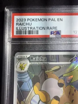 Pokemon TCG Raichu Illustration Card Paldea Evolved 211/193 - PSA 9 - Image 3