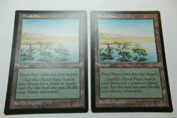 MTG Flood Plain x2- -Mirage-Lightly Played - Image 1
