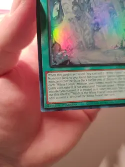 Yugioh Witch of the White Forest ALIN-EN058 - Alliance Insight - Image 4