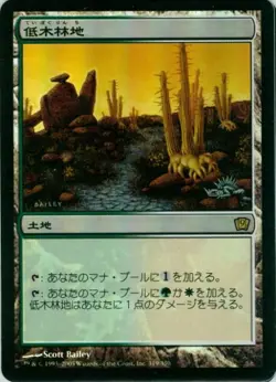 FOIL MTG Brushland 9th Edition 9ED Japanese NEAR-MINT - Image 1