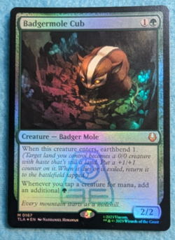 x1 Badgermole Cub (Foil) #167 MTG Avatar: The Last Airbender - #167 - Image 2