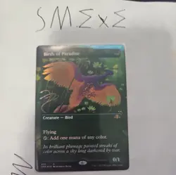 Birds of Paradise (Borderless) Dominaria Remastered Foil - Image 1