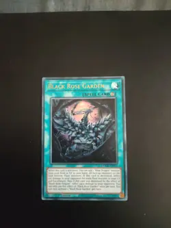 DOOD-EN055 Black Rose Garden Ultra Rare 1st Ed YuGiOh - Image 1