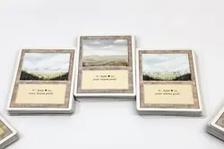 MTG Lot of 500+ Basic Lands - Revised (3rd Ed) 1994 - NM /LP - VTG Cube Mana Set - Image 2