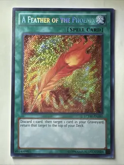A Feather Of The Phoenix - LP - LCYW-EN280 - Secret Rare - Unlimited - Image 1