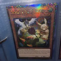 Droll & Lock Bird Alternate Art Quarter Century Secret Rare 1st Edition Yugioh - Image 5