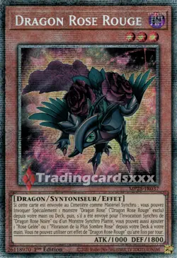Yu-Gi-Oh! Dragon Rose Rouge : STAR MP25-FR037 - Image 1