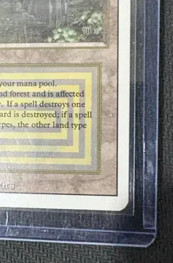 MTG Bayou Revised Edition Regular Rare NM - Never Used - Image 5