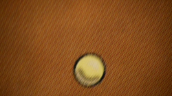 Magic the Gathering: Zhao Zilong, Tiger General - Portal Three Kingdoms (EX+) - Image 2