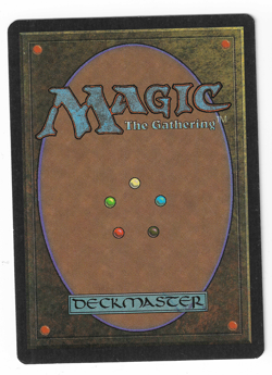 ►Magic-Style◄ MTG - Sylvan Library - Legends Italian - EX+ - Image 2