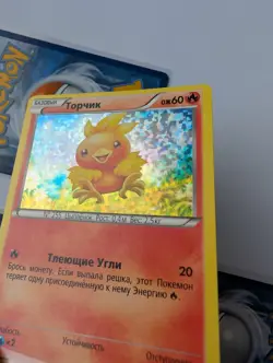 Pokemon Russian XY Sets Mix Torchik Lot 4 Karten Rare Low Pop - Image 5