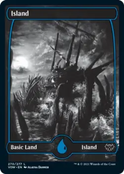 MTG: Innistrad - Crimson Vow Full Art Land Set x 5 (50 cards) - Image 4