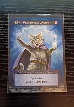 sorcery contested realm Apurrentice Wizard Non-foil Welcome Kit Promo - Image 1